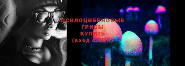 прущие грибы Алексин