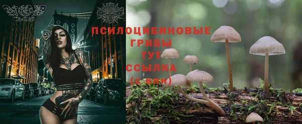 каннабис Алексеевка