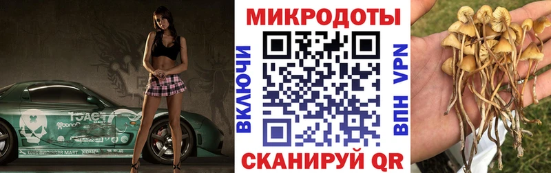 Псилоцибиновые грибы Magic Shrooms  купить наркоту  Можга 